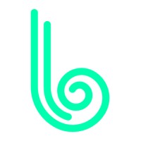 Brandlucent logo - Similar company to Dolgify