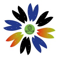 PAKISTAN LIGHTING logo - Similar company to Mh Solar & Electrical Solutions