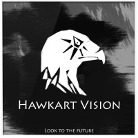HawkArt Vision logo - Similar company to Silver Express Llp