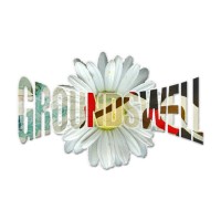 Groundswell – Design & Media Production logo - Similar company to Tatoolkit Inc.