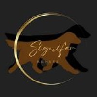 Signifer kennel logo - Similar company to Star Group