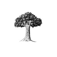 DOCEMUS Sp. z o.o. logo - Similar company to Apqp4H.Com