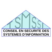TSMSSI logo - Similar company to Transleyt