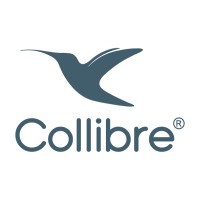 Collibre logo - Similar company to Collibre Sp. Z O.O.
