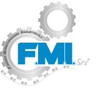F.M.I. Farina Manutenzioni Industriali srl logo - Similar company to Saie Srl