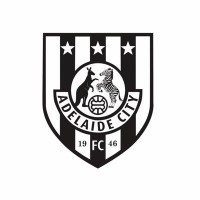 Adelaide City Football Club logo - Similar company to Adelaide Comets Fc