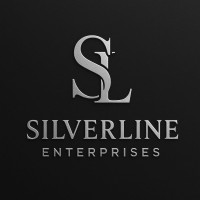Silverline Enterprises By Swati logo - Similar company to Bounced Designs