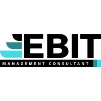EBIT Management Consultant logo - Similar company to Gbyte Techno