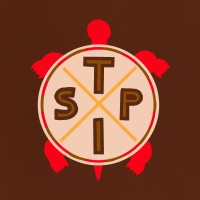 Turtle Island Skateboard Project logo - Similar company to Skateboard Session