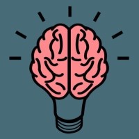 Brainschool logo - Similar company to Am Solutions Gmbh