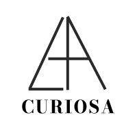 Curiosa Labs logo - Similar company to Ai Outcome