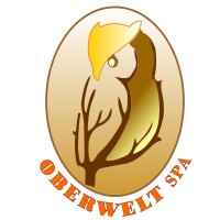 OBERWELT SpA logo - Similar company to Bni Redes