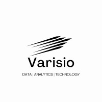 Varisio Solutions logo - Similar company to Actico