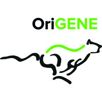 OriGENE Concepts BV logo - Similar company to Fydee Nederland