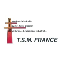 TSM FRANCE logo - Similar company to Mmtci Group