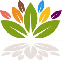 Safe Connections logo - Similar company to Lead Stl