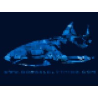 Dorsal Clothing
