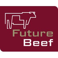 FutureBeef logo - Similar company to Beef Central