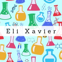 Eli Xavier logo - Similar company to Webmec