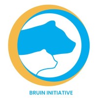 Bruin Initiative