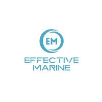 EFFECTIVE MARINE logo - Similar company to Doruk Elektronik