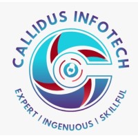 Callidus Infotech Private Limited logo - Similar company to Callidus Staffing Solutions Pvt Ltd