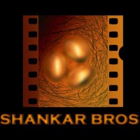 Shankar Bros logo - Similar company to Humour Frames