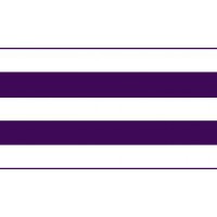 Two Row logo - Similar company to Occupy Wall Street
