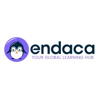 Endaca logo - Similar company to Endigitals | Software & Digital Solutions