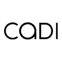 CADI Interiørarkitekter logo - Similar company to Intro Ark As