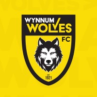Wynnum Wolves FC logo - Similar company to Work Codesign Pty Ltd