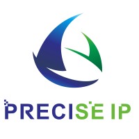 Precise Intellectual Property LLC logo - Similar company to Shenzhen Giltbridge Translation Co., Ltd.