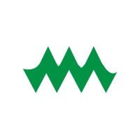 WEBMOSH logo - Similar company to Web Motion