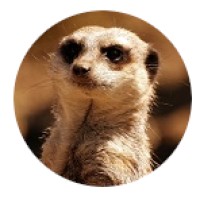 Kalahari Security logo - Similar company to Breakaway Loyalty