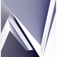 NAVY Consulting Group logo - Similar company to Laserestetics