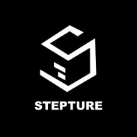 STEPTURE logo - Similar company to Samara Website Developers Llc