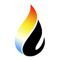 VDQ-NRG Systems Inc. logo - Similar company to Thinkforces Advisory Group