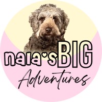 Nala'S Big Adventures