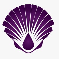 Oyster InfoMedia Lab logo - Similar company to Infomedia Web Solutions