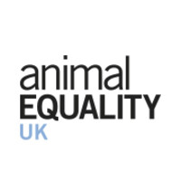 Animal Equality UK logo - Similar company to Soas Debate And Speaking Union