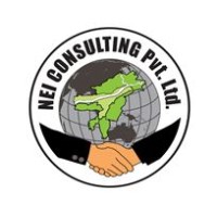 NEI Consulting Pvt. Ltd. logo - Similar company to Lohia Group