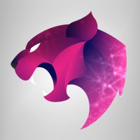 Social Panthers logo - Similar company to Softwerra