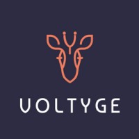Voltyge logo - Similar company to Dcit Conseil