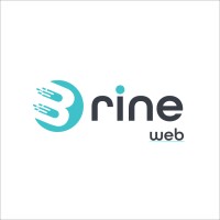 Brine Web logo - Similar company to Esh Solutions Limited