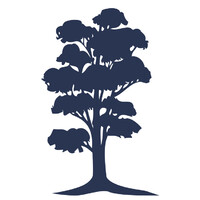 Cypress Bank & Trust logo - Similar company to Beta Theta Pi - Zeta Psi Chapter
