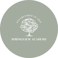 Springview Academy of Hialeah logo - Similar company to Springview Academy