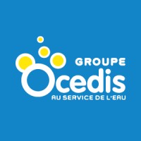 OCEDIS logo - Similar company to Lebin Solutions