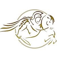 Sovereign International (UK) logo - Similar company to Direct Capital Exchange