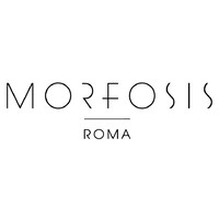 Morfosis logo - Similar company to Acchitto