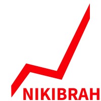 NIKIBRAH logo - Similar company to Realai.Dev